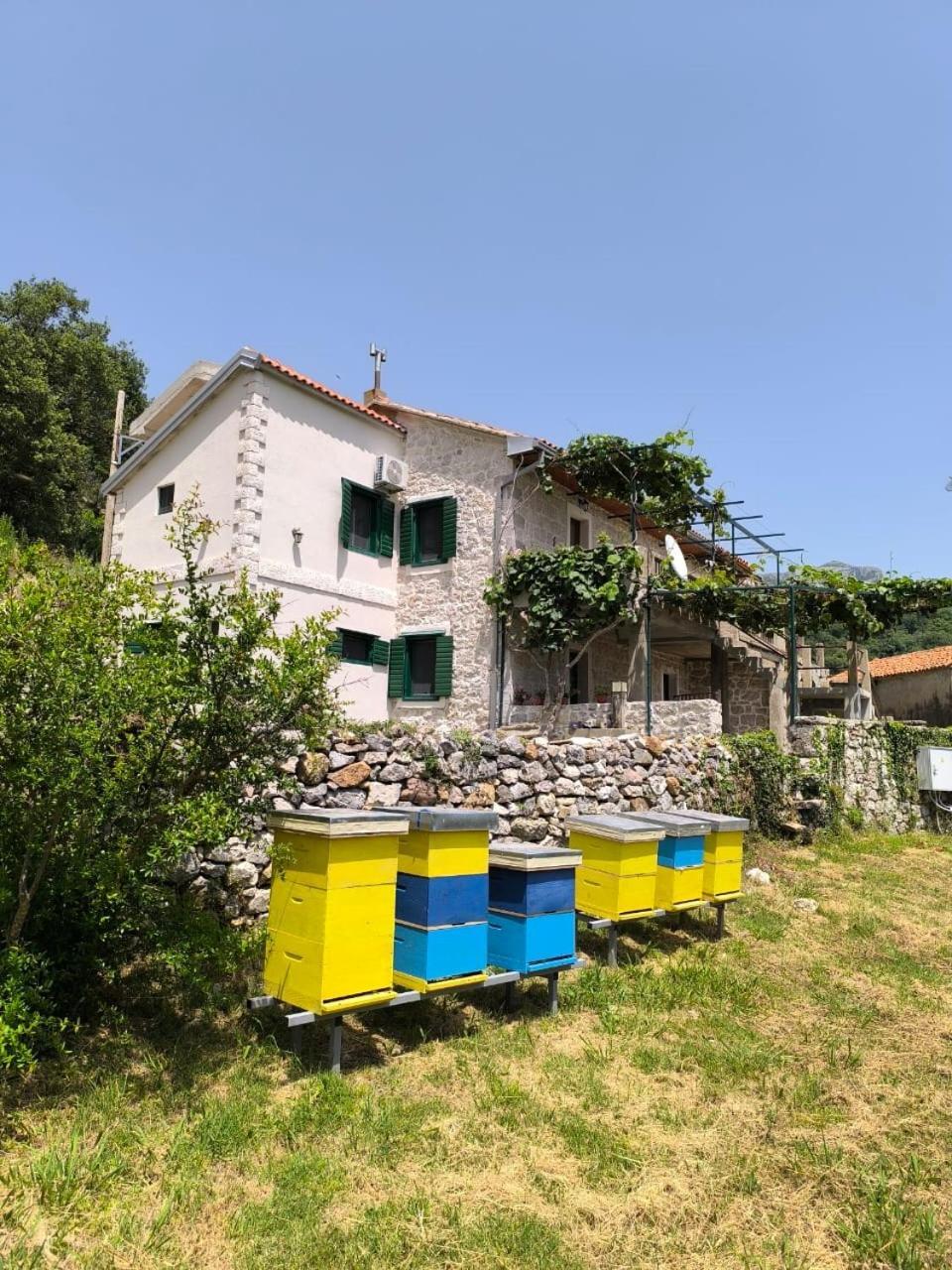 巴尔Rustic Stone House别墅 外观 照片